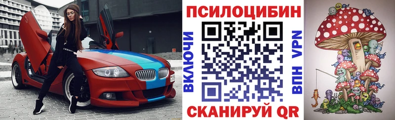 Галлюциногенные грибы Cubensis  закладка  Асино 