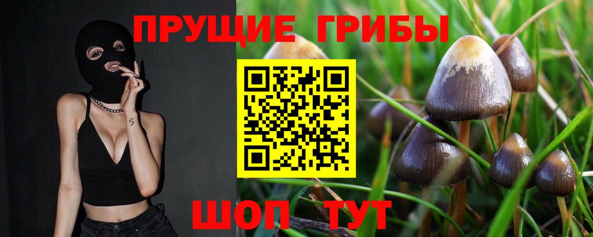 Псилоцибиновые грибы Magic Shrooms  Вход с VPN  цены наркотик  Асино 