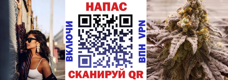 Канабис White Widow  Асино 